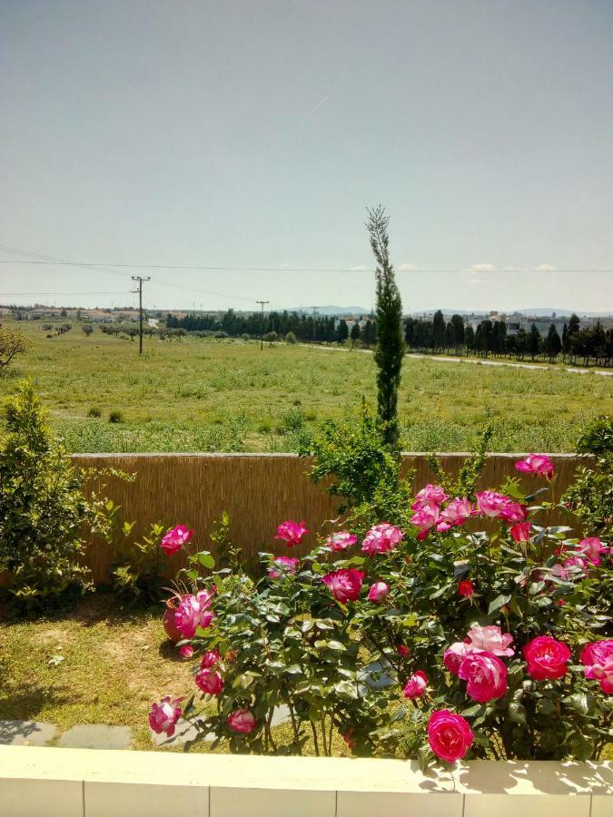 Studio Poseidonia Apartment 75Sqm Corinth Canal 外观 照片
